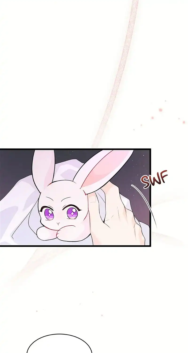 Little Rabbit and the Big Bad Leopard Chapter 36 - page 49