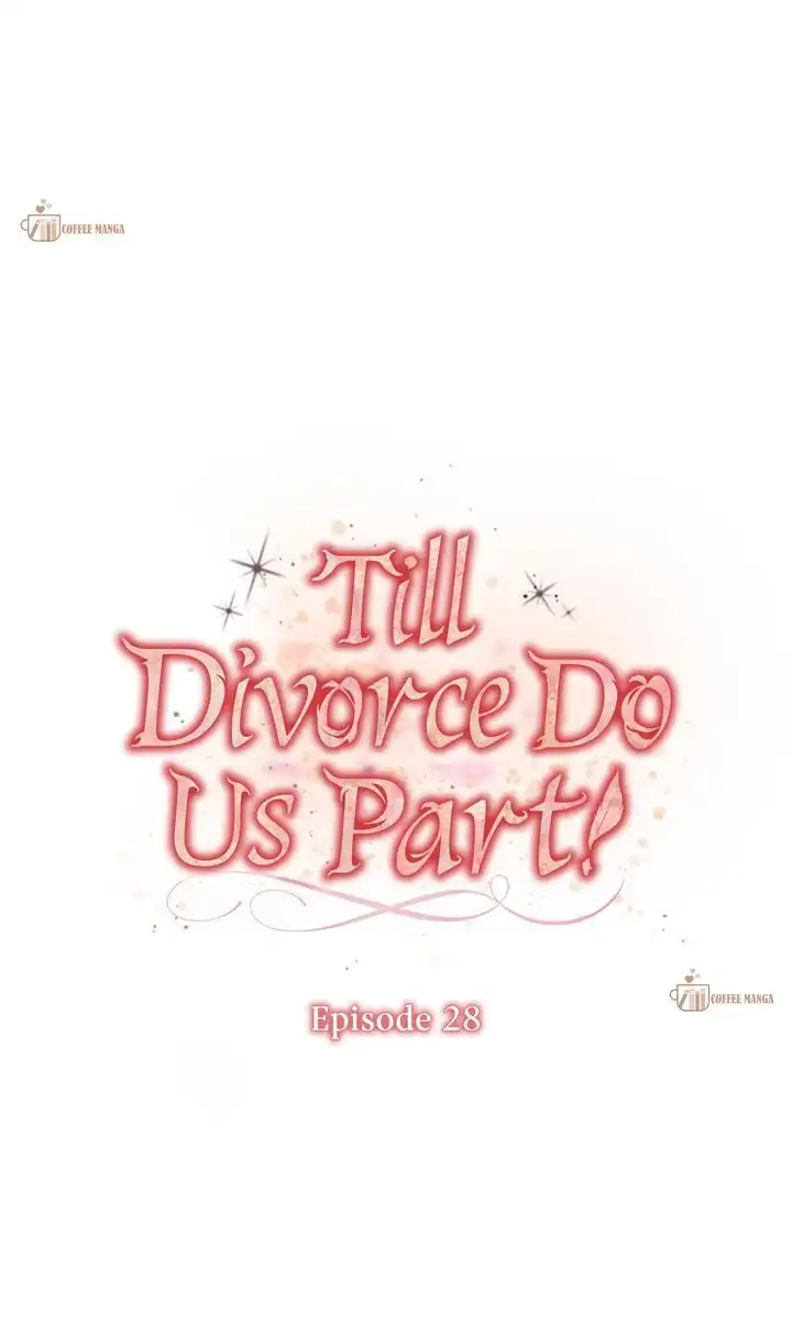 Till Divorce Do Us Part! Chapter 28 - page 13