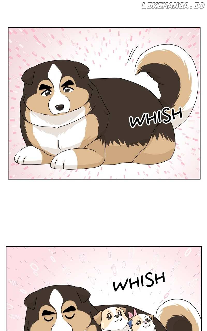 The Dog Diaries Chapter 154 - page 33