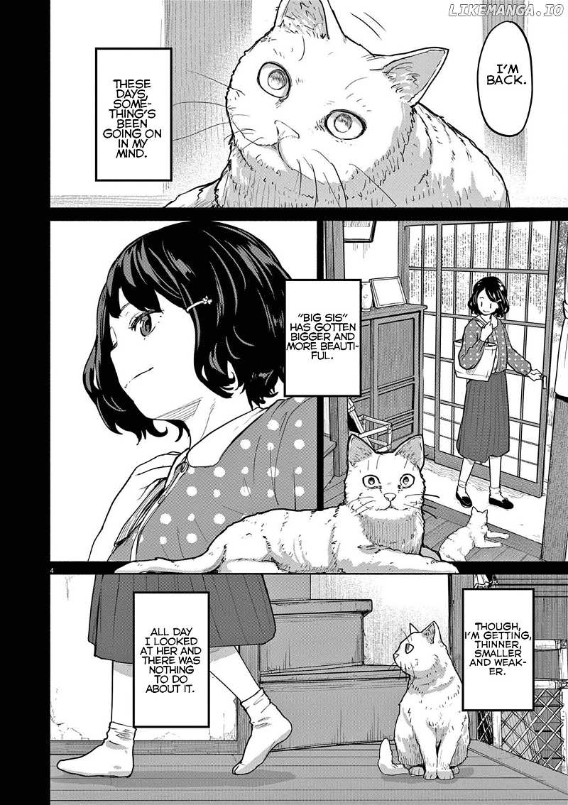 Mysteries, Maidens, And Mysterious Disappearances chapter 49 - page 4