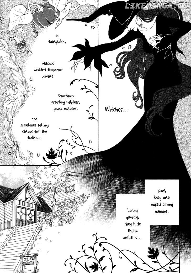 Majo No Biyaku chapter 1 - page 4