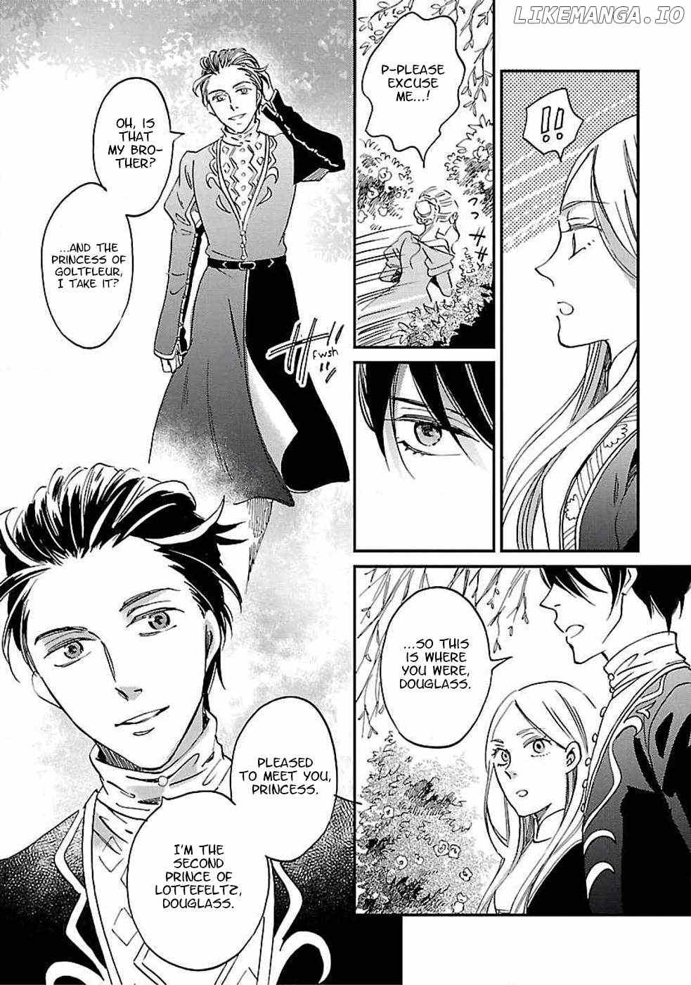 Eila to Totsukuni no Ou Chapter 1 - page 47