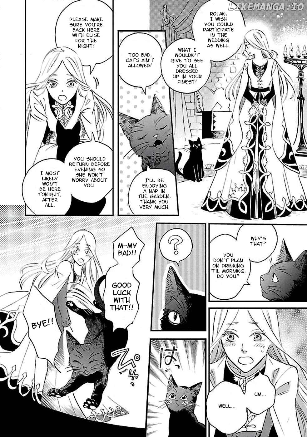 Eila to Totsukuni no Ou Chapter 2 - page 14