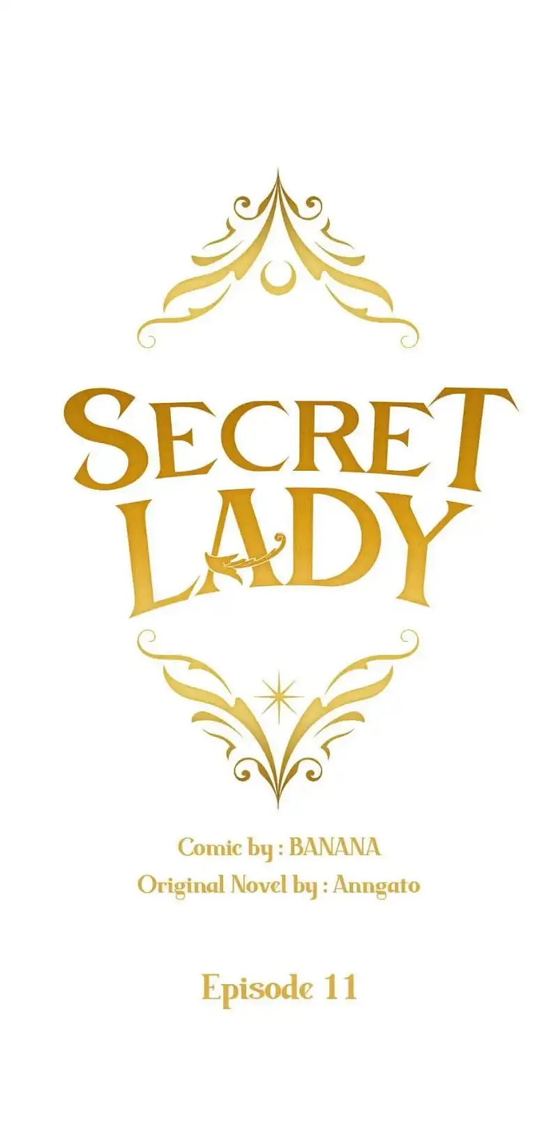 Secret Lady Chapter 11 - page 17
