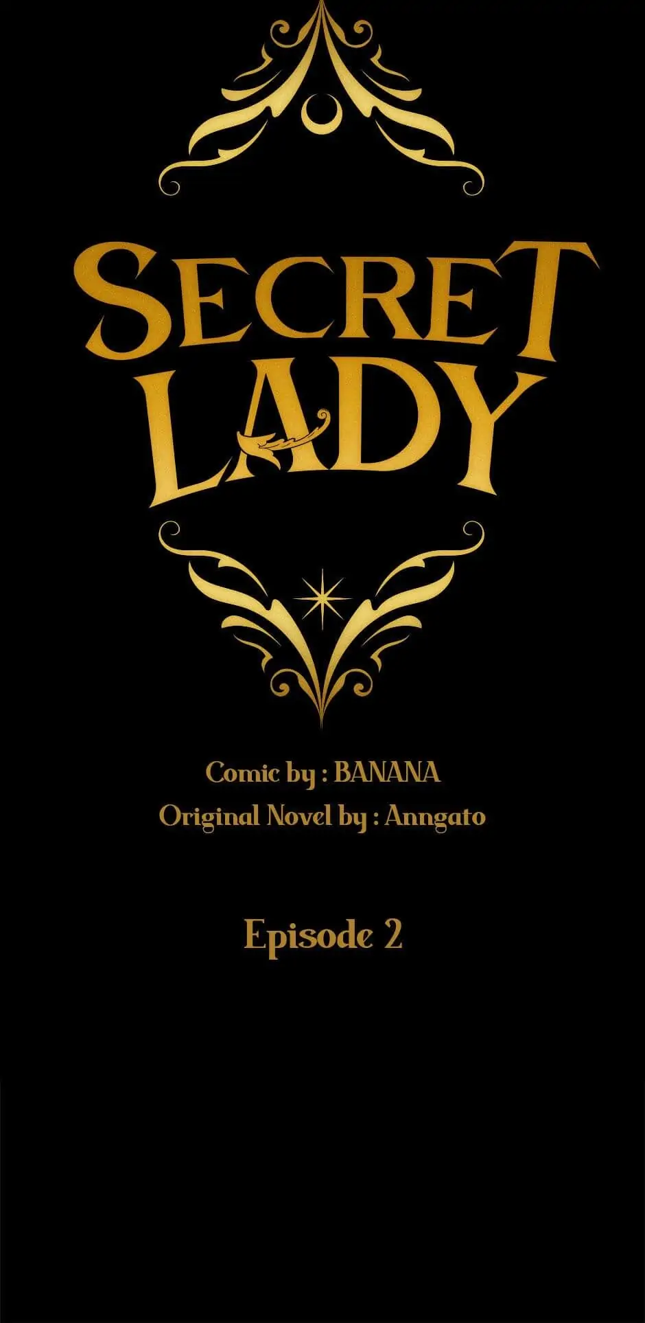 Secret Lady Chapter 2 - page 17
