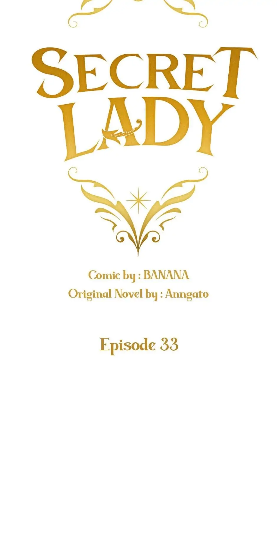 Secret Lady Chapter 33 - page 27