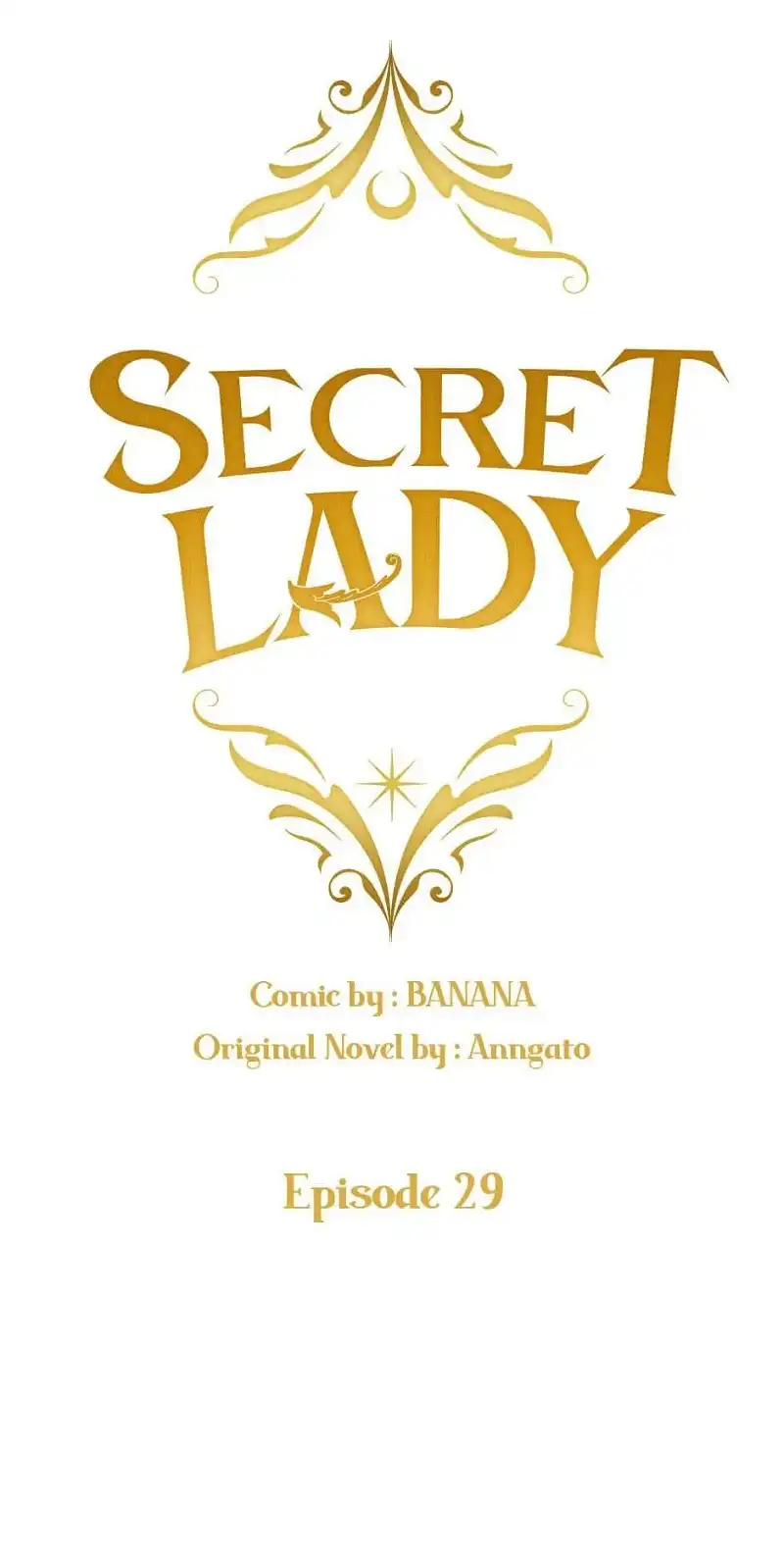 Secret Lady Chapter 29 - page 25