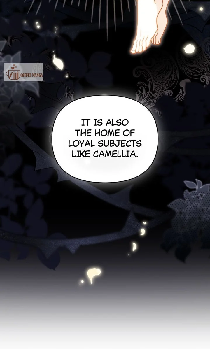 Finding Camellia Chapter 105 - page 24