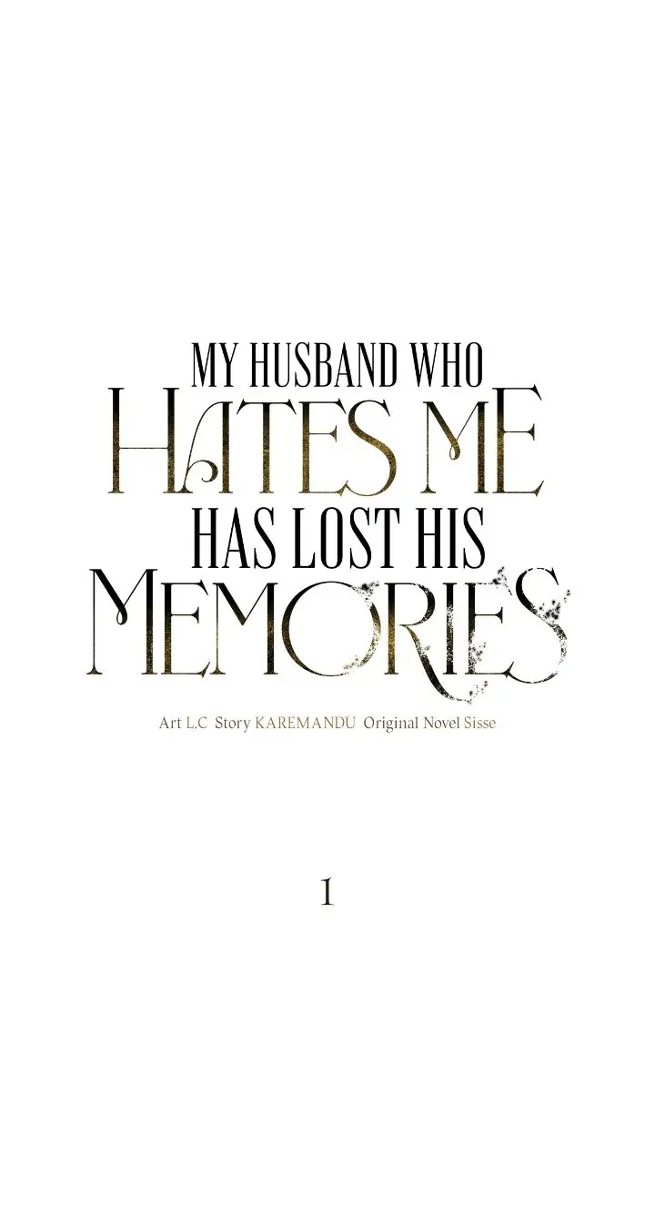 My Husband Who Hates Me Has Lost His Memories Chapter 1 - page 6