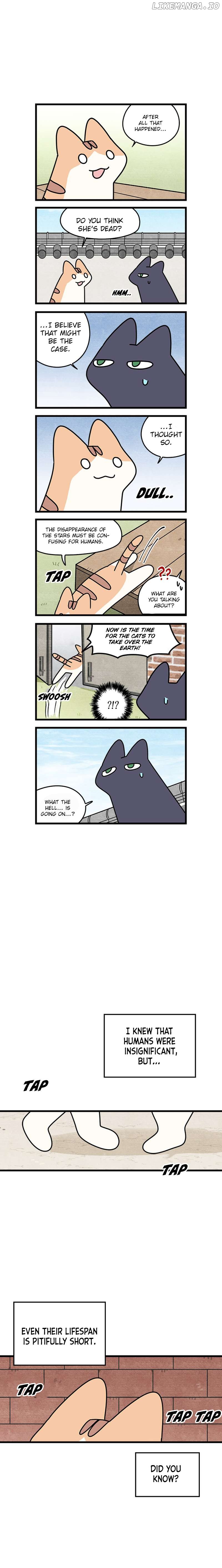 Cats Own The World Chapter 198 - page 5