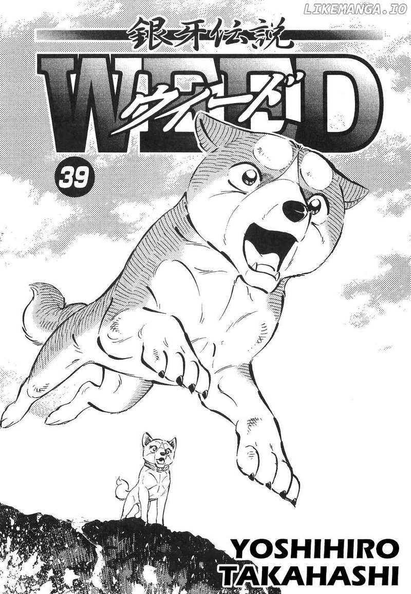 Ginga Densetsu Weed Chapter 324 - page 4