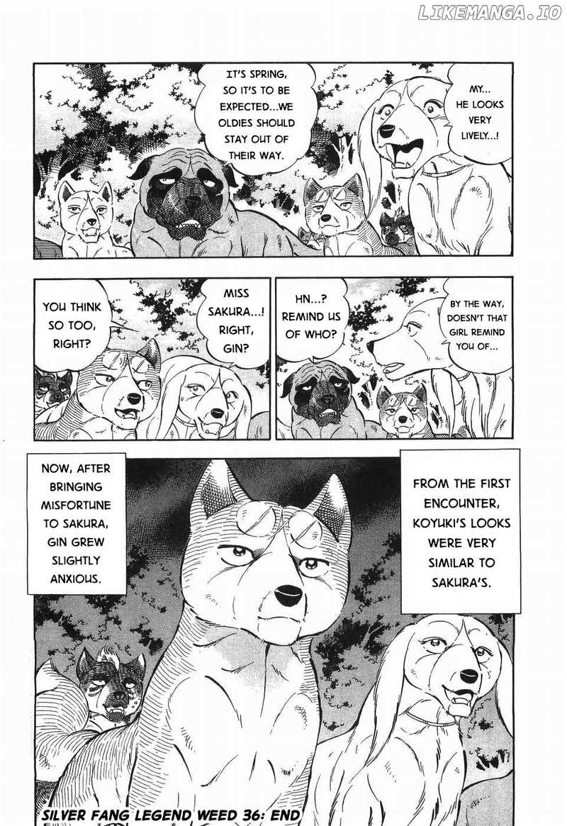 Ginga Densetsu Weed Chapter 307 - page 24