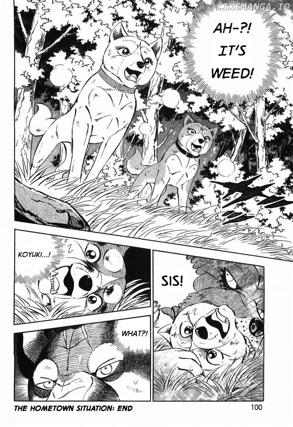 Ginga Densetsu Weed Chapter 303 - page 23