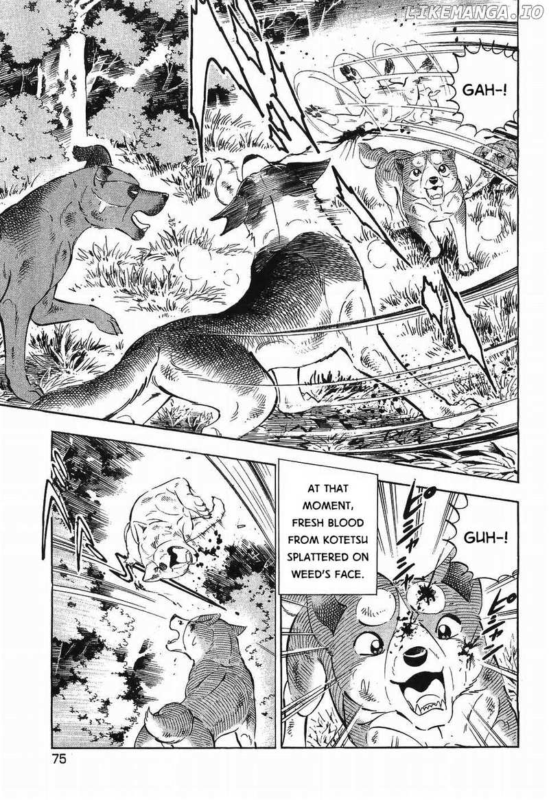 Ginga Densetsu Weed Chapter 302 - page 22