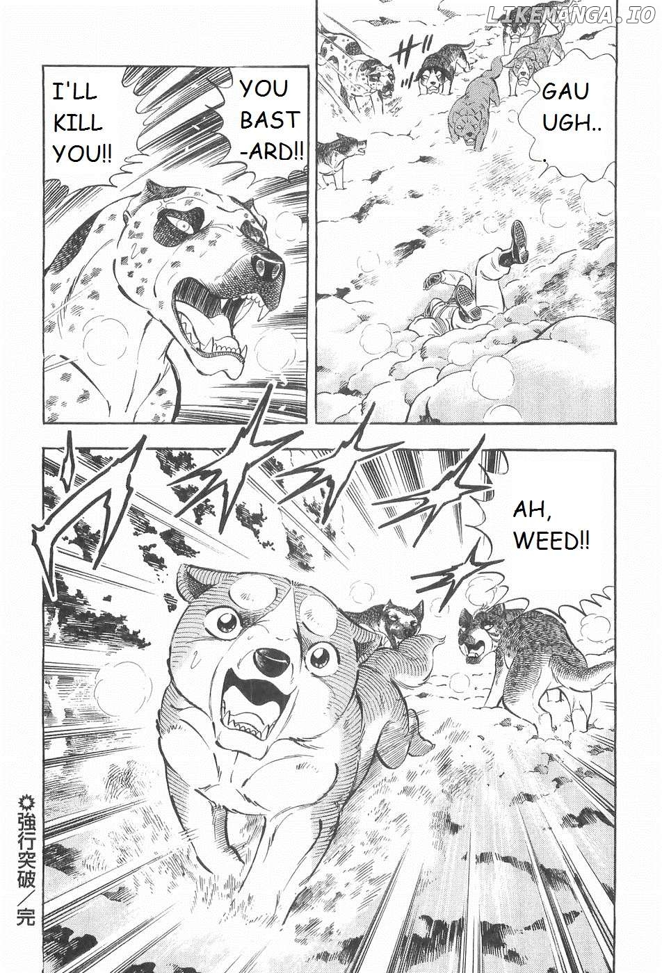 Ginga Densetsu Weed Chapter 214 - page 20