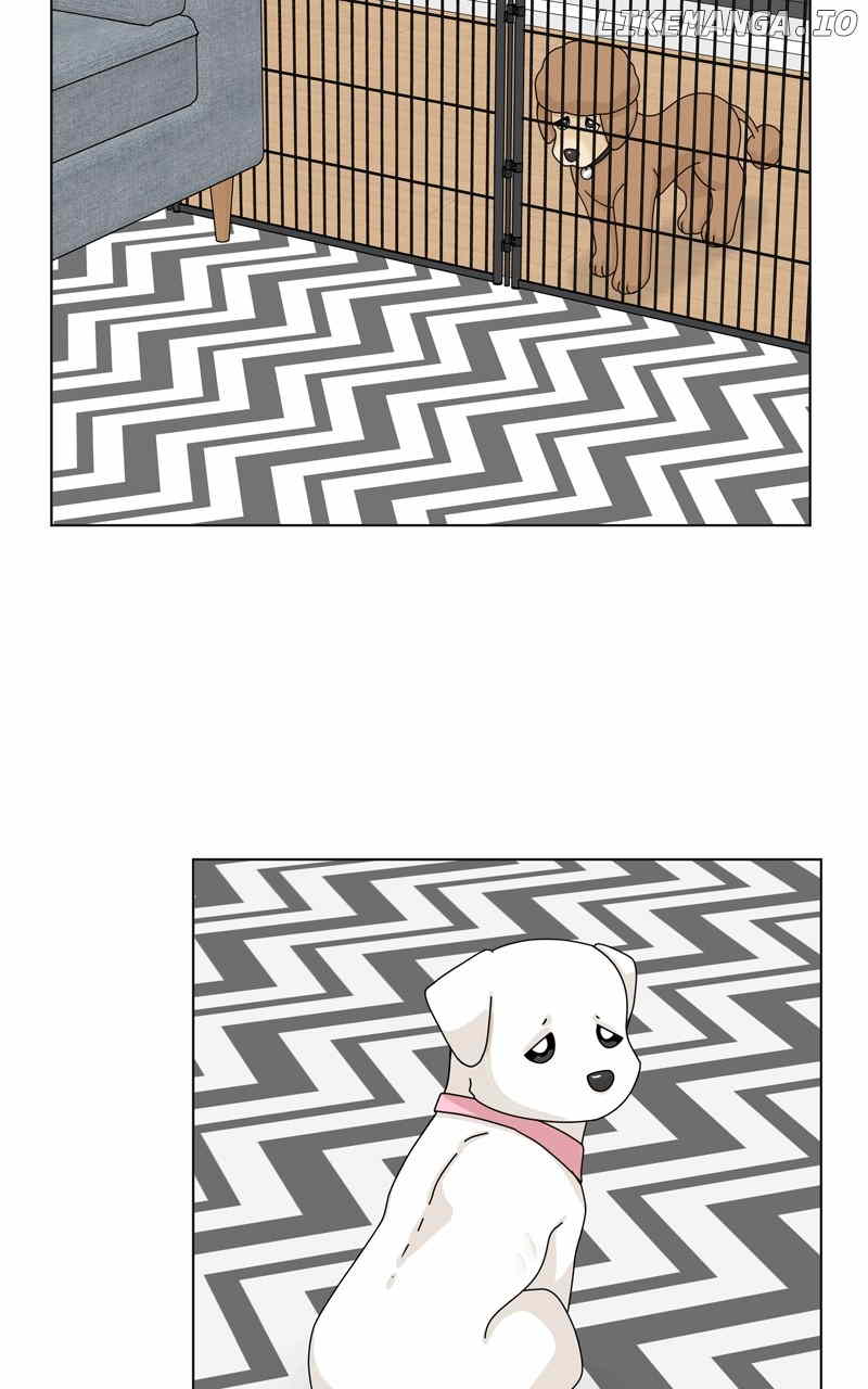 The Dog Diaries Chapter 159 - page 39