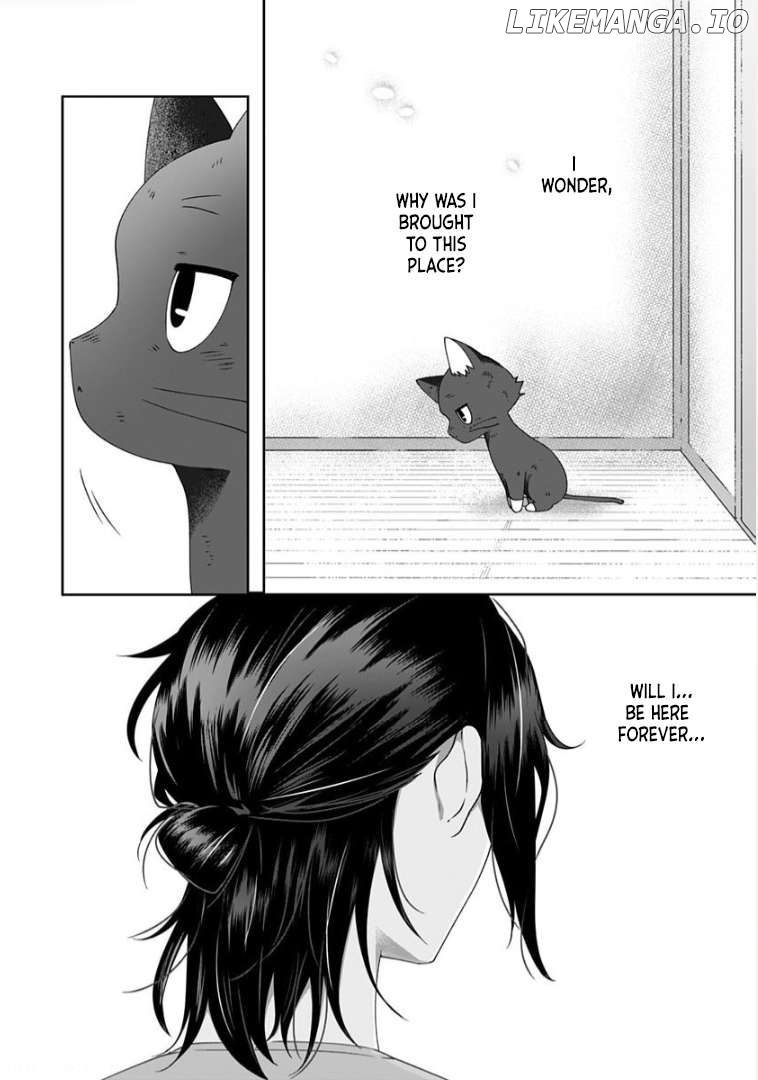 My Kitten Is A Picky Eater Chapter 4 - page 4