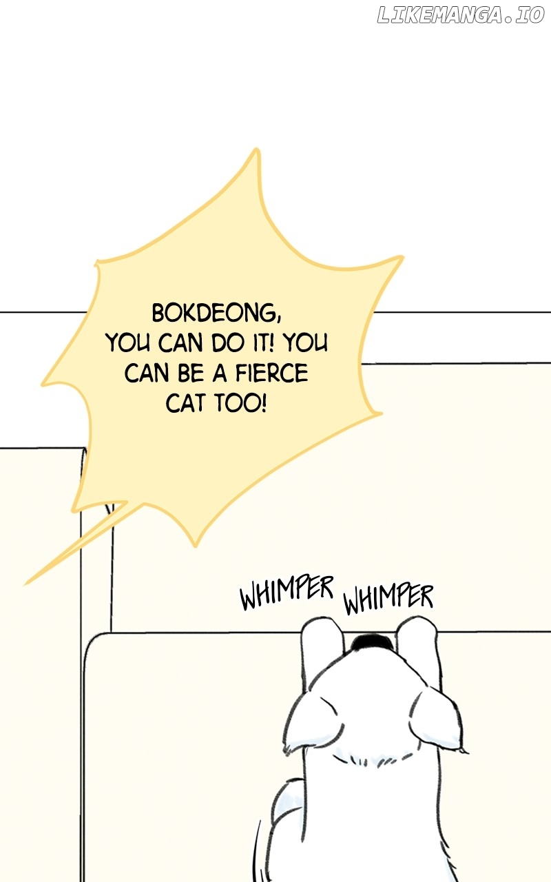 Want to See My Cat? Chapter 9 - page 22