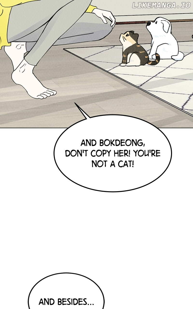 Want to See My Cat? Chapter 9 - page 35