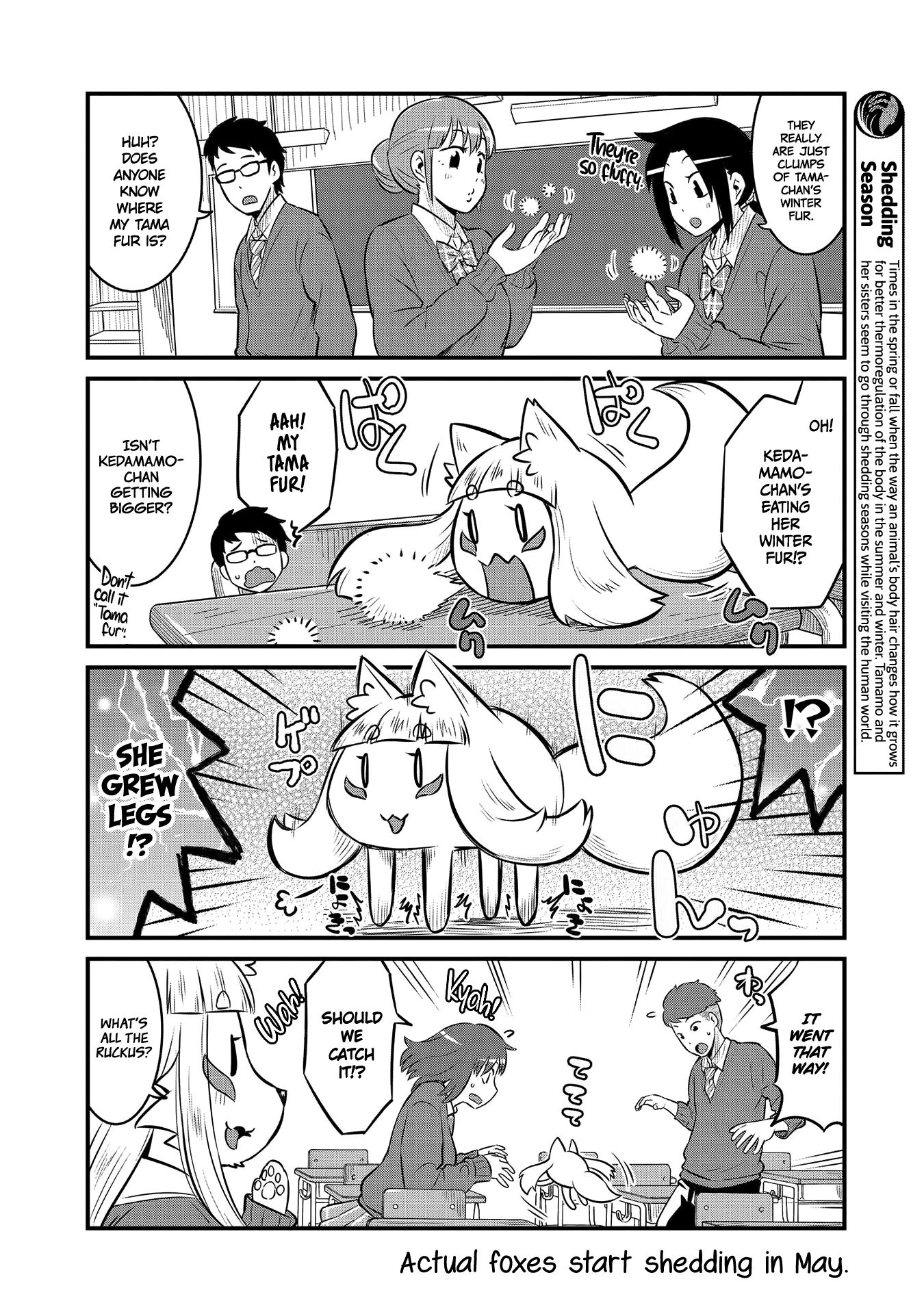 High School Inari Tamamo-Chan! chapter 62 - page 6