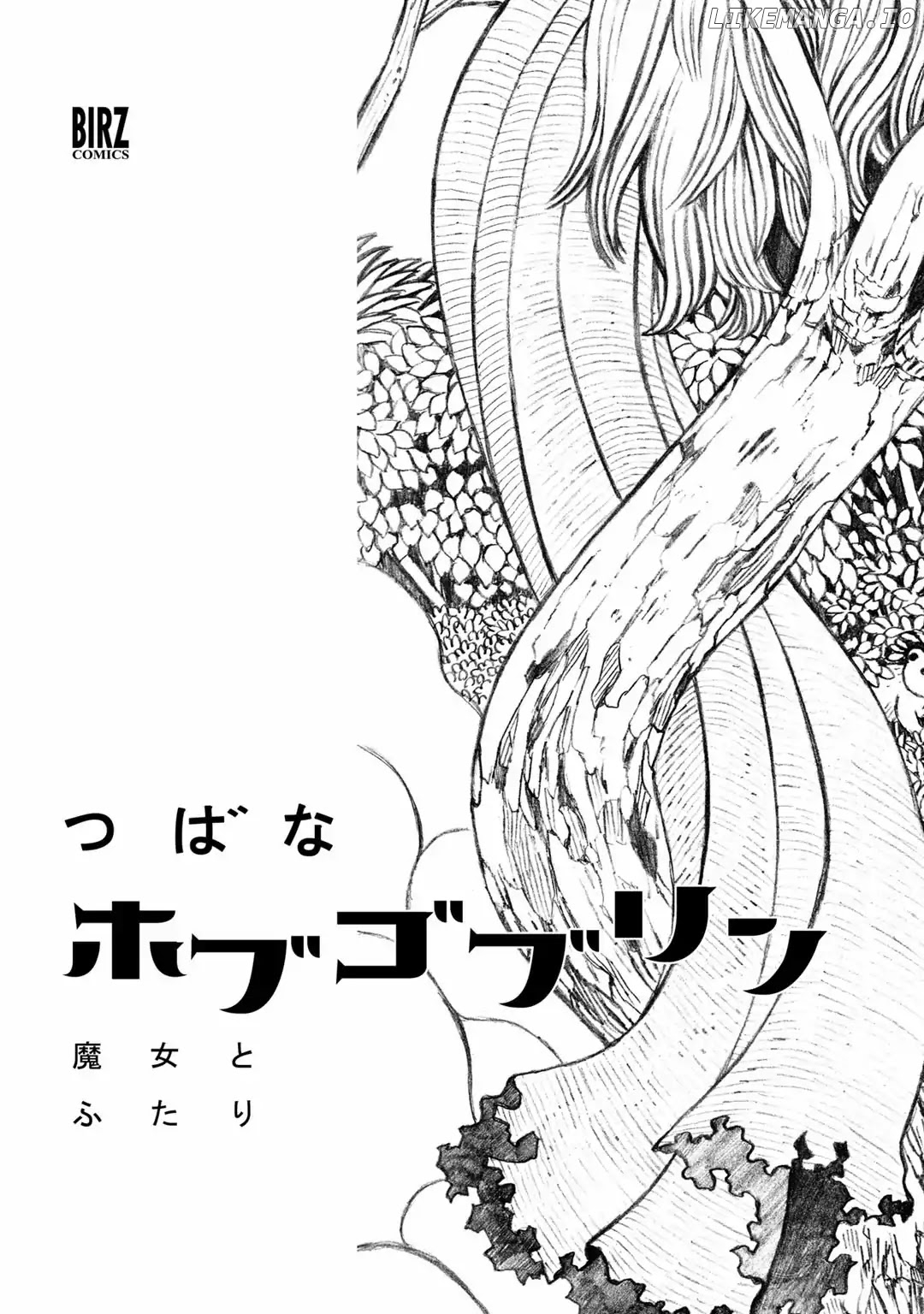 Hobgoblin - Majo to Futari chapter 1 - page 5