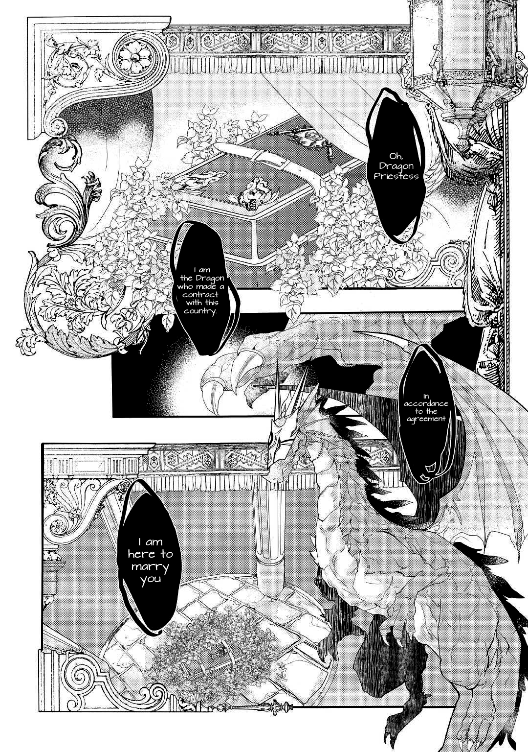 The Dragon And The Dragon Slayer Priestess chapter 1 - page 2
