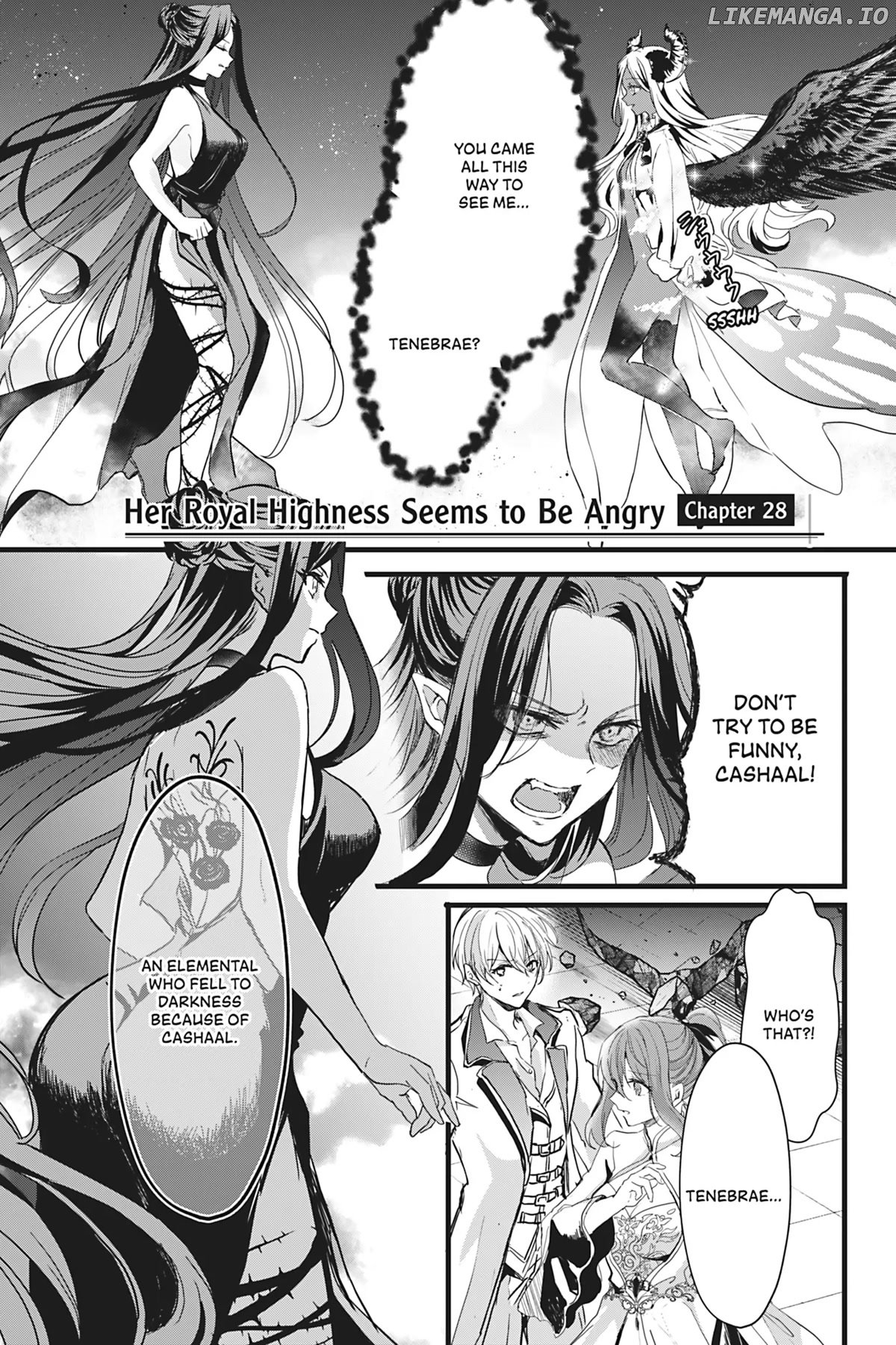 Her Royal Highness Seems To Be Angry chapter 28 - page 1