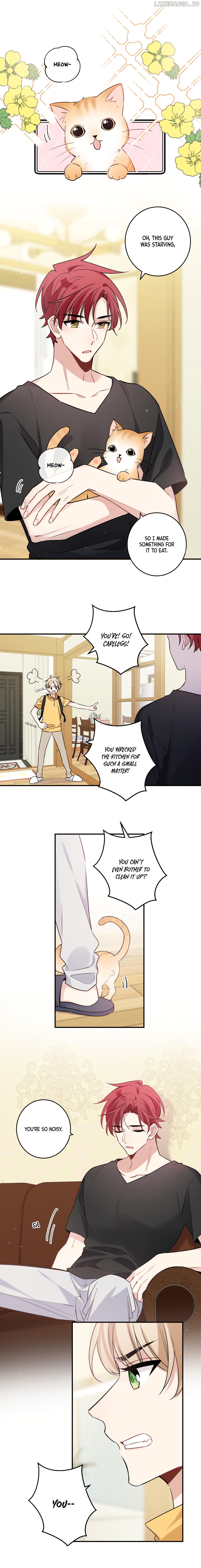 What To Do If My Cotenant Is My Love-Rival? chapter 3 - page 5