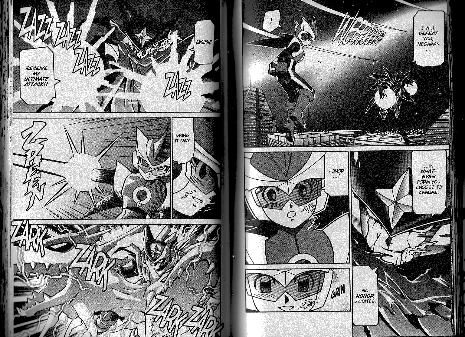 Mega Man Battle Network chapter 36 - page 14