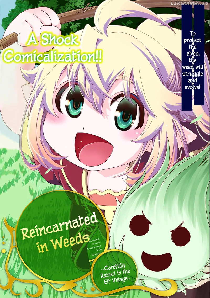 Weed Reincarnation – Carefully Raised in the Elf Village chapter 1 - page 4